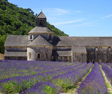 Abbaye De Senanque